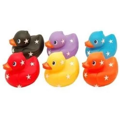 Lot 6 Canards De Bain