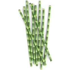 Pailles Bambou En Papier Biod&eacute;gradable - Lot De 24 -Petits Trésors Soldes p 2853 supp 2 210302172903