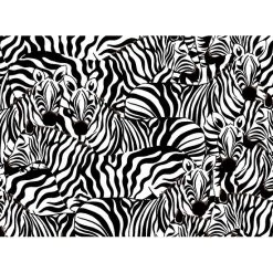 Puzzle 1000 Pi&egrave;ces Hummingbird - Dare To Fly - Z&egrave;bres -Petits Trésors Soldes p 3579 supp 2 210910193346