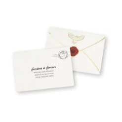 16 Serviettes En Papier Convocation D'apprentis Sorcier Comme Harry Potter