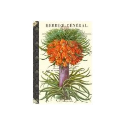 Carnet &agrave; Mots De Passe Herbier General - Gwena&euml;lle Trolez Cr&eacute;ations