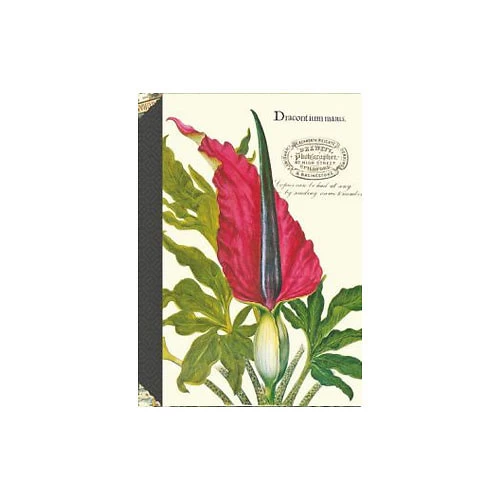 Carnet à Mots De Passe Dracontium - Gwenaëlle Trolez Créations 3 Carnet à Mots De Passe Dracontium - Gwenaëlle Trolez Créations