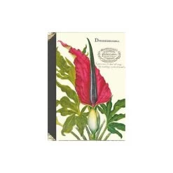 Carnet à Mots De Passe Dracontium - Gwenaëlle Trolez Créations 7 Carnet à Mots De Passe Dracontium - Gwenaëlle Trolez Créations -Petits Trésors Soldes p 4634 supp 2 221024214128